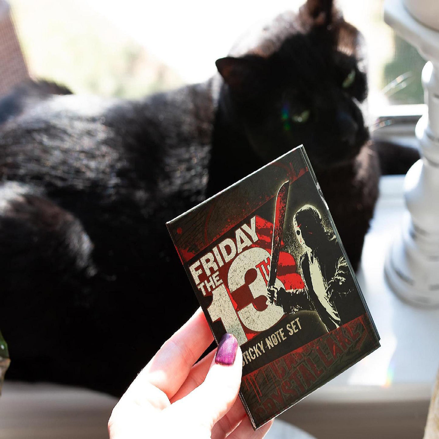 Friday the 13th Sticky Note and Sticky Tab Box Set | USA Decoration®