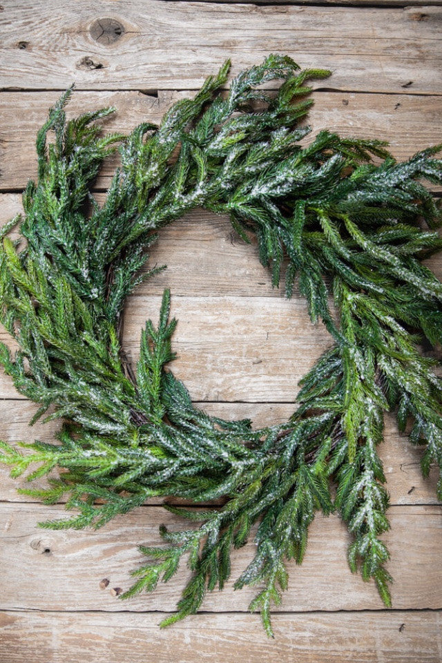 24” Iced Garden Norfolk Pine Wreath Elegant Frosted Holiday Decoration