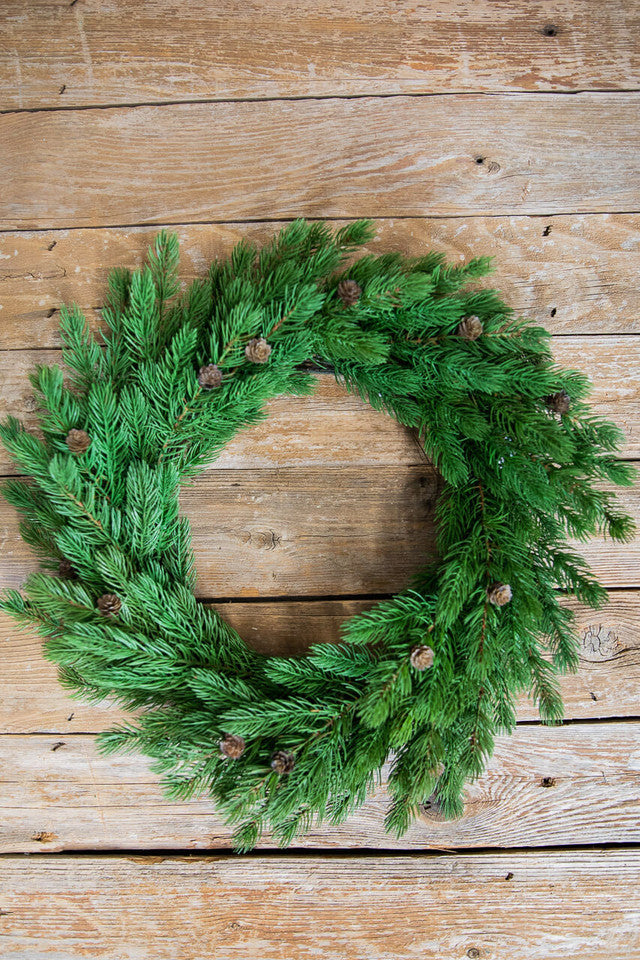 24” Just Cut Spruce Wreath Fresh, Lush & Perfect for Holiday Decor