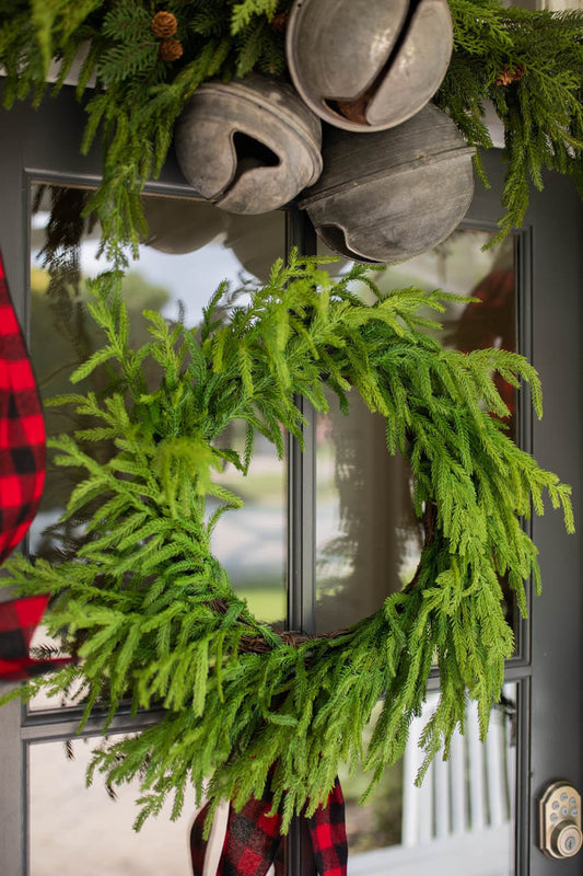 24” Just Cut Norfolk Pine Wreath for Fresh-Look Holiday and Year-Round Decor