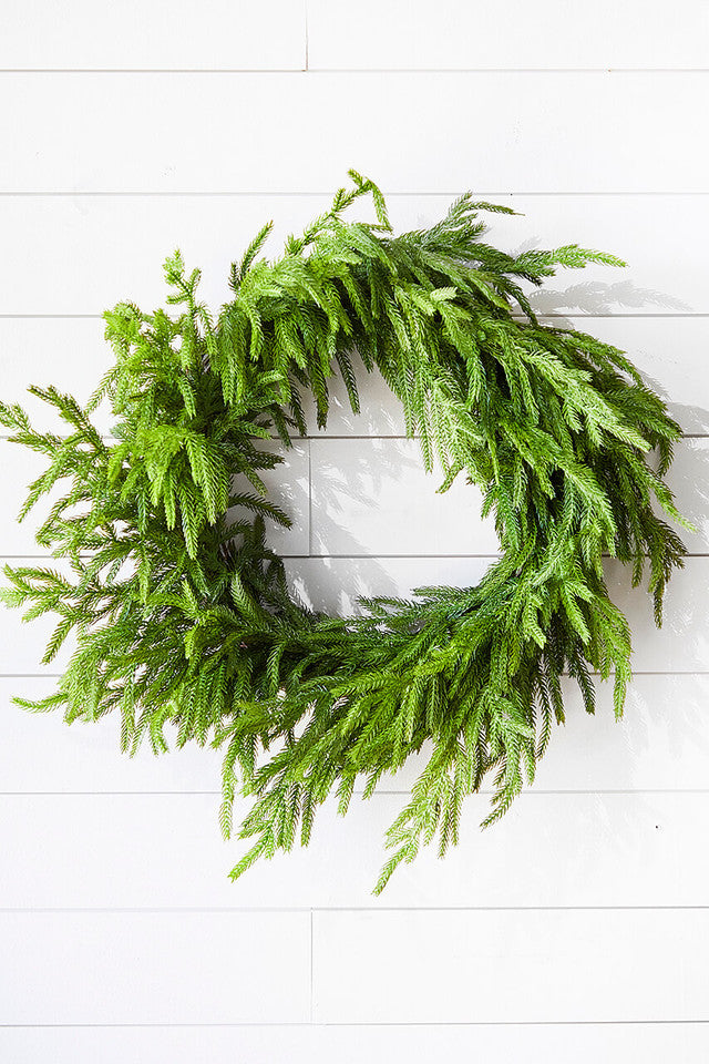 24” Just Cut Norfolk Pine Wreath Fresh & Lush Holiday Decoration