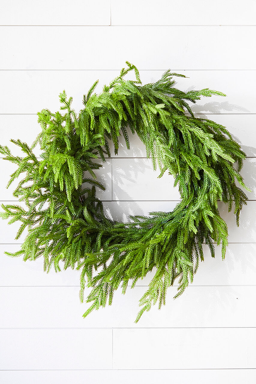 24” Just Cut Norfolk Pine Wreath