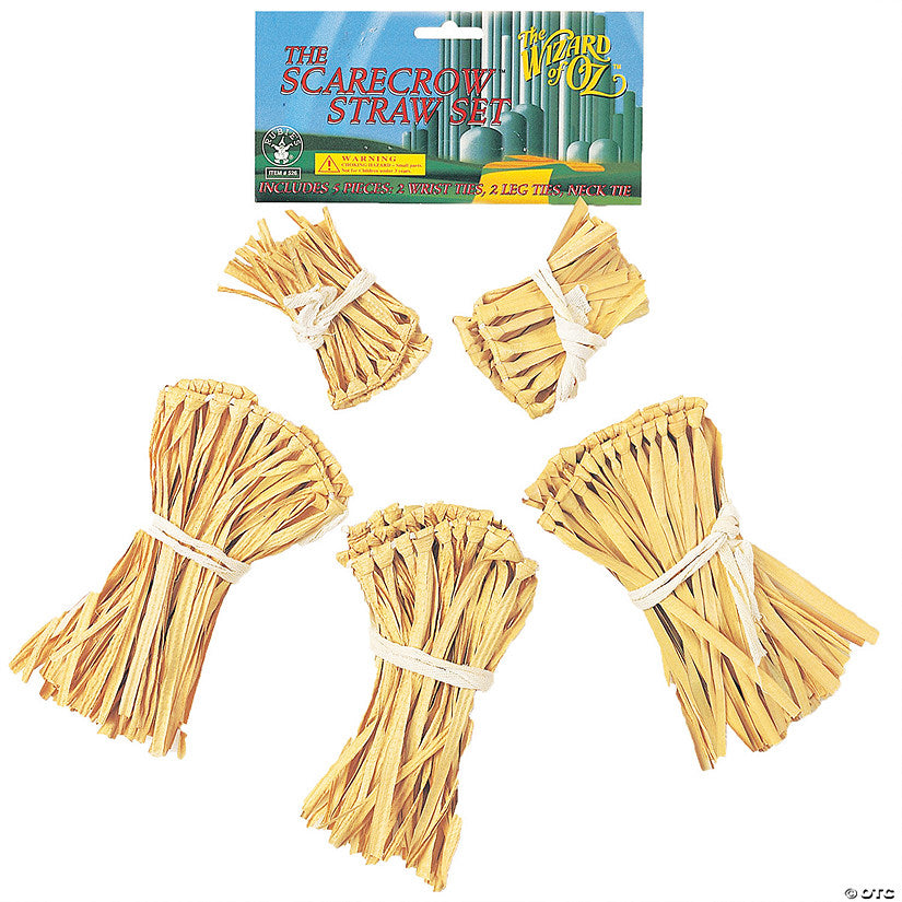 The Wizard of Oz™ Scarecrow Straw Kit | USA Decoration®