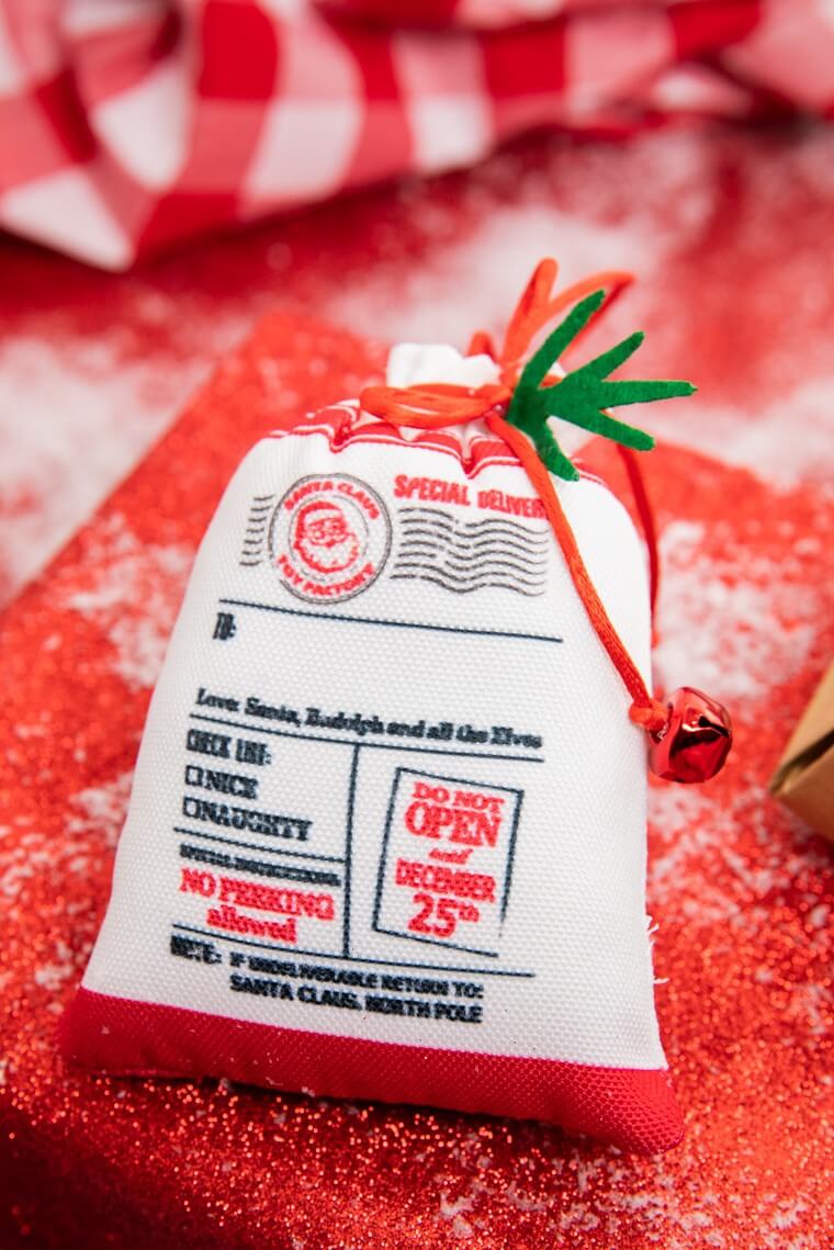 5” Polyester Special Delivery Sack Ornament