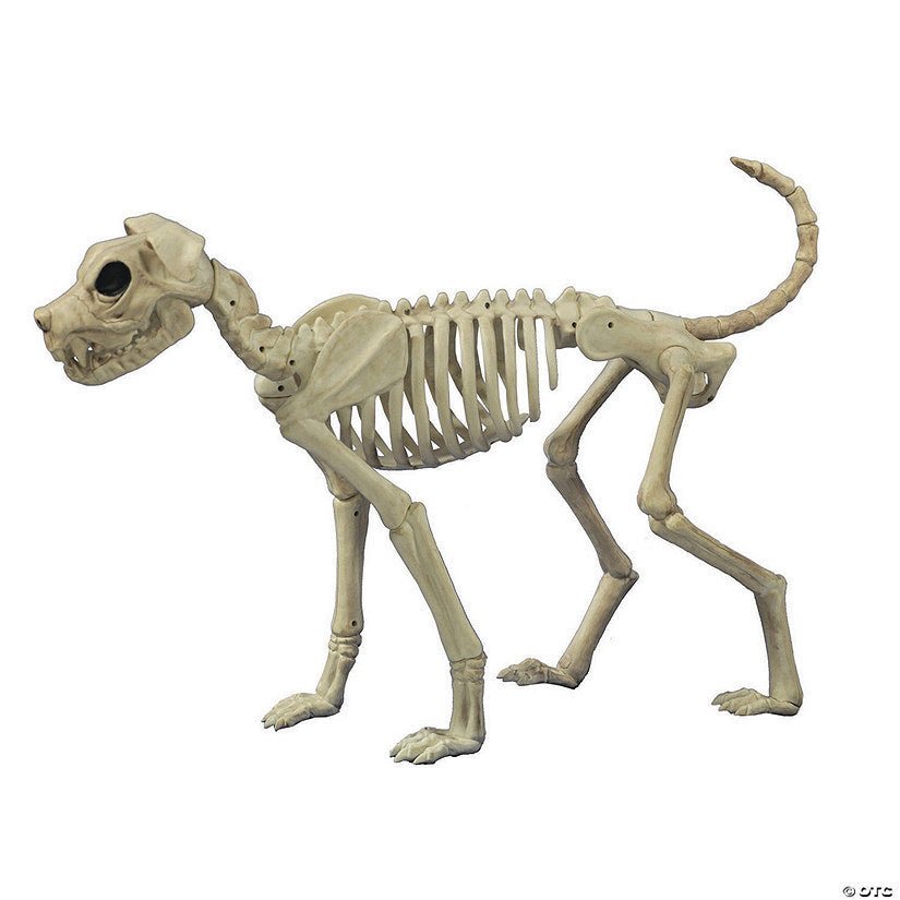3 Ft. x 21" Buster Bonez Dog Skeleton Platic Halloween Decoration | USA Decoration®