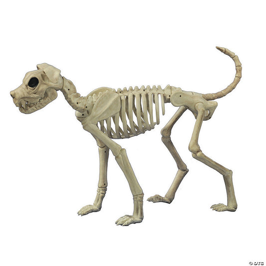 3 Ft. x 21" Buster Bonez Dog Skeleton Platic Halloween Decoration | USA Decoration®