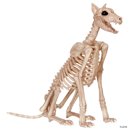 29" Doberman Skeleton Halloween Decoration | USA Decoration®
