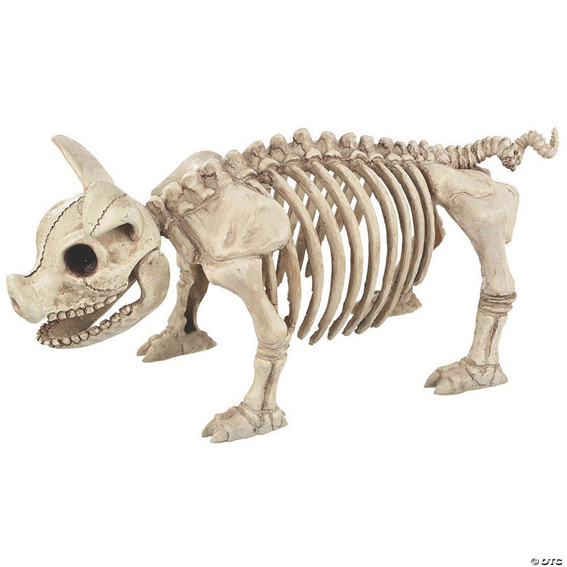 12" Pig Skeleton Halloween Decoration | USA Decoration®