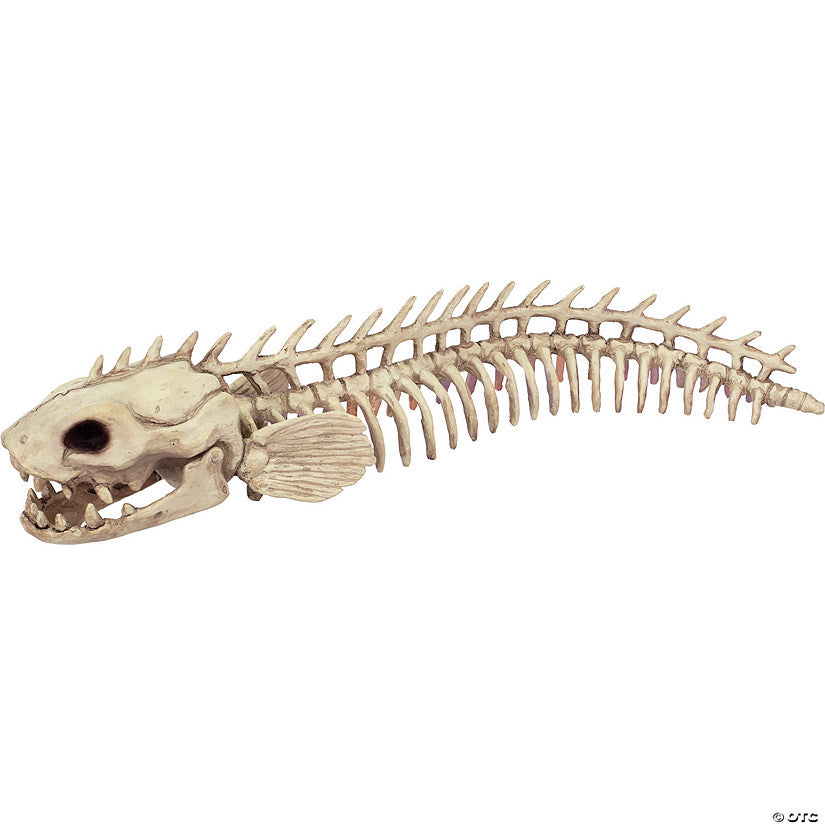 19 1/2" Skeleton Eel Prop | USA Decoration®