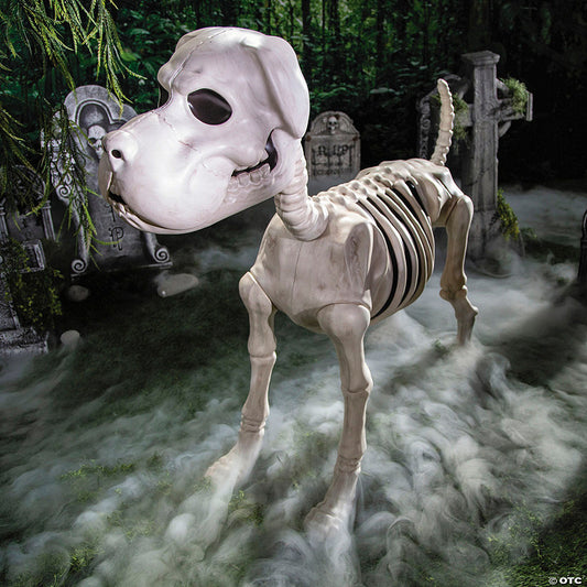 4 Ft. Standing Dog Skeleton Halloween Decoration | USA Decoration®