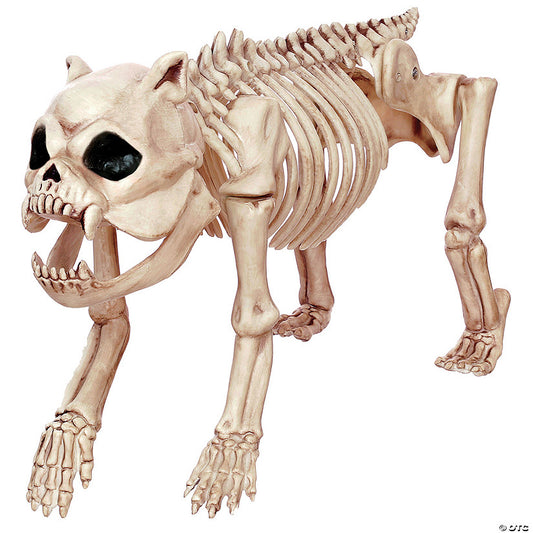 Bones the Dog Skeleton Halloween Decoration | USA Decoration®
