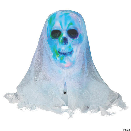 Lightshow Skull Bust Decoration | USA Decoration®